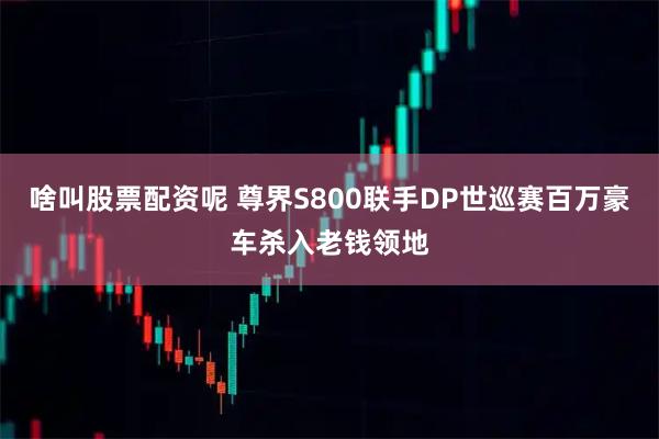 啥叫股票配资呢 尊界S800联手DP世巡赛百万豪车杀入老钱领地