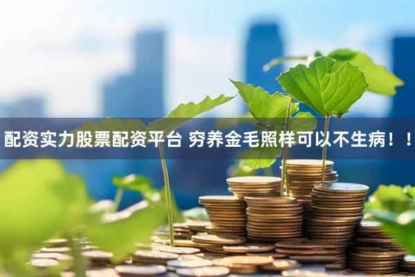 配资实力股票配资平台 穷养金毛照样可以不生病！！